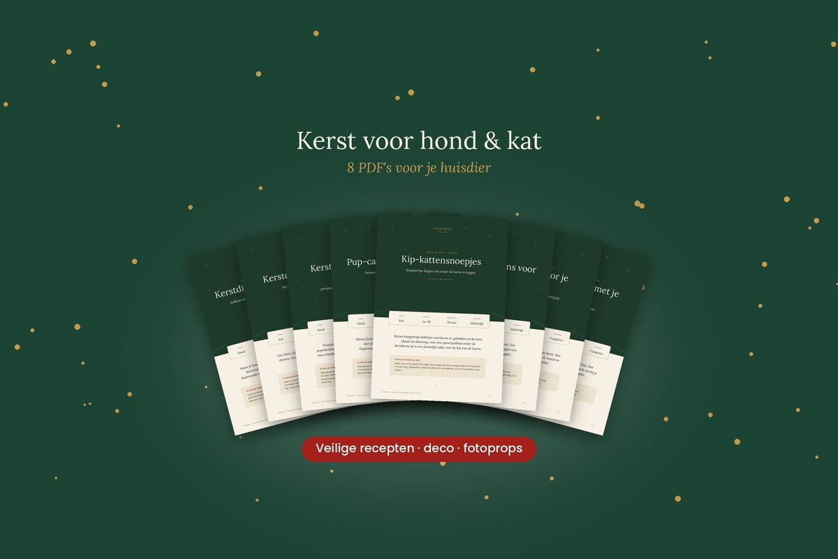 Kerstrecepten voor je huisdier van Kerstwyk
