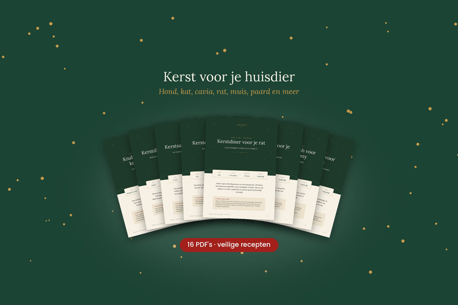 Kerst voor je huisdier